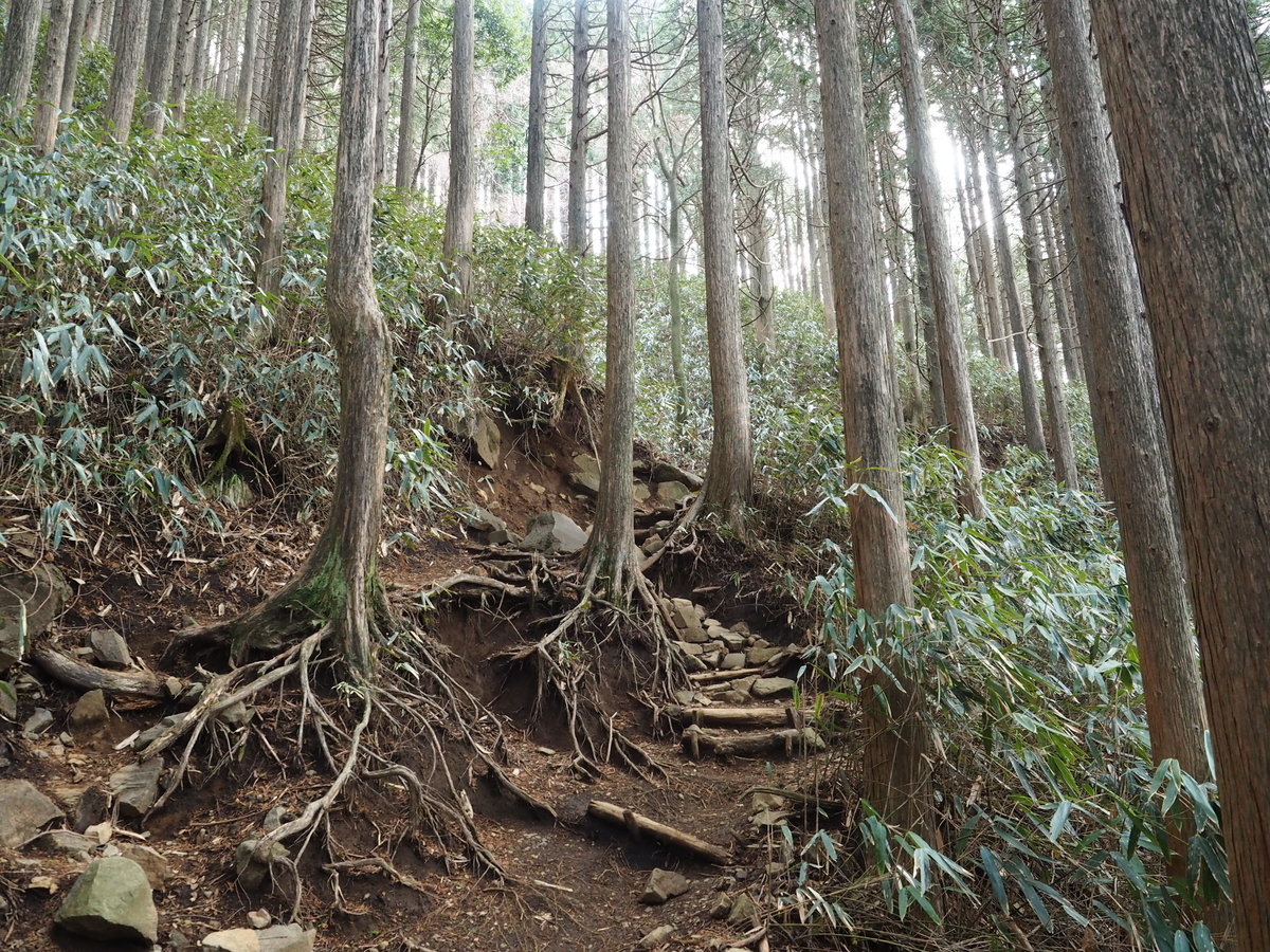 f:id:nobuburi:20190326064550j:plain