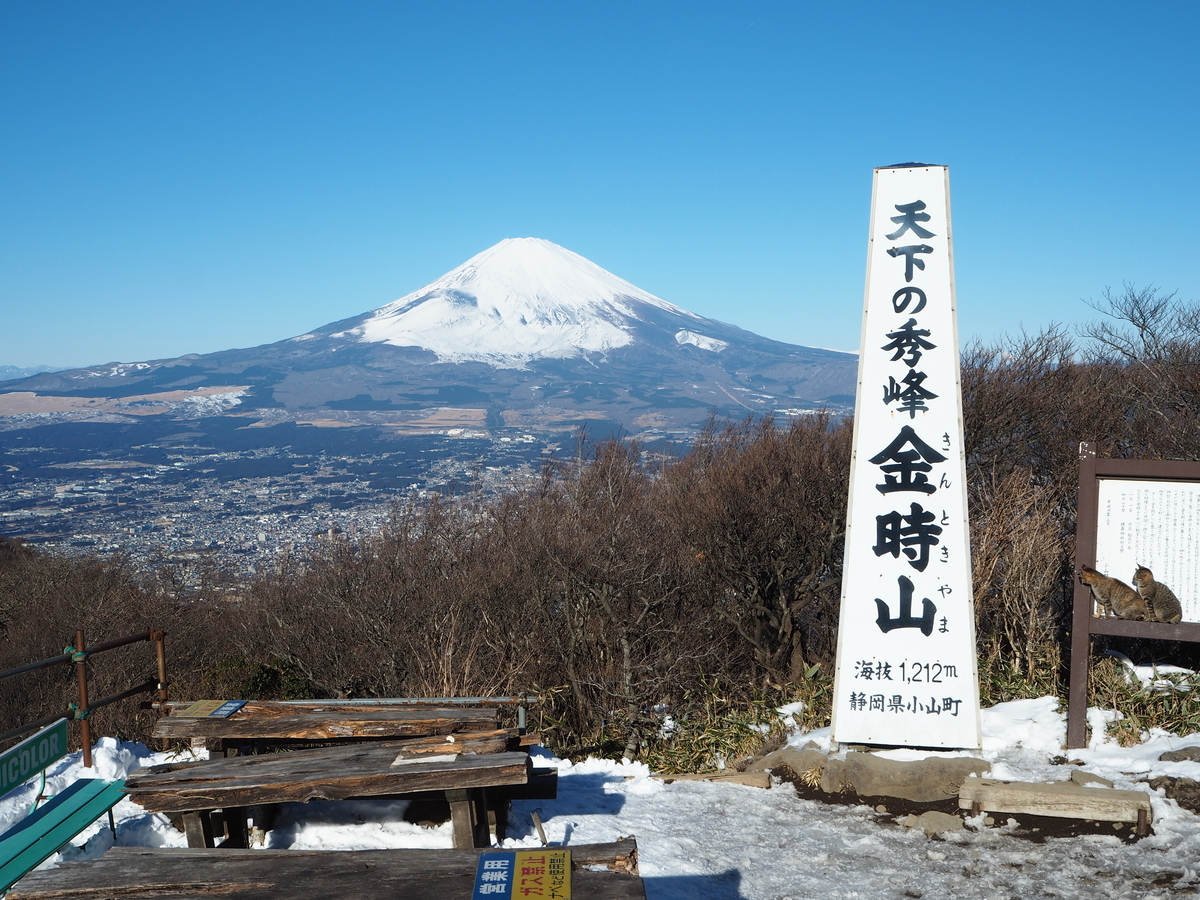 f:id:nobuburi:20190326194753j:plain