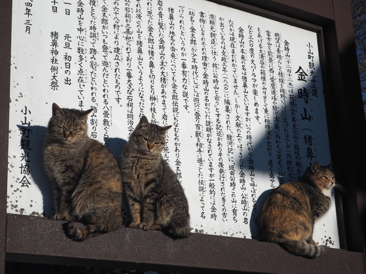 f:id:nobuburi:20190326225932j:plain