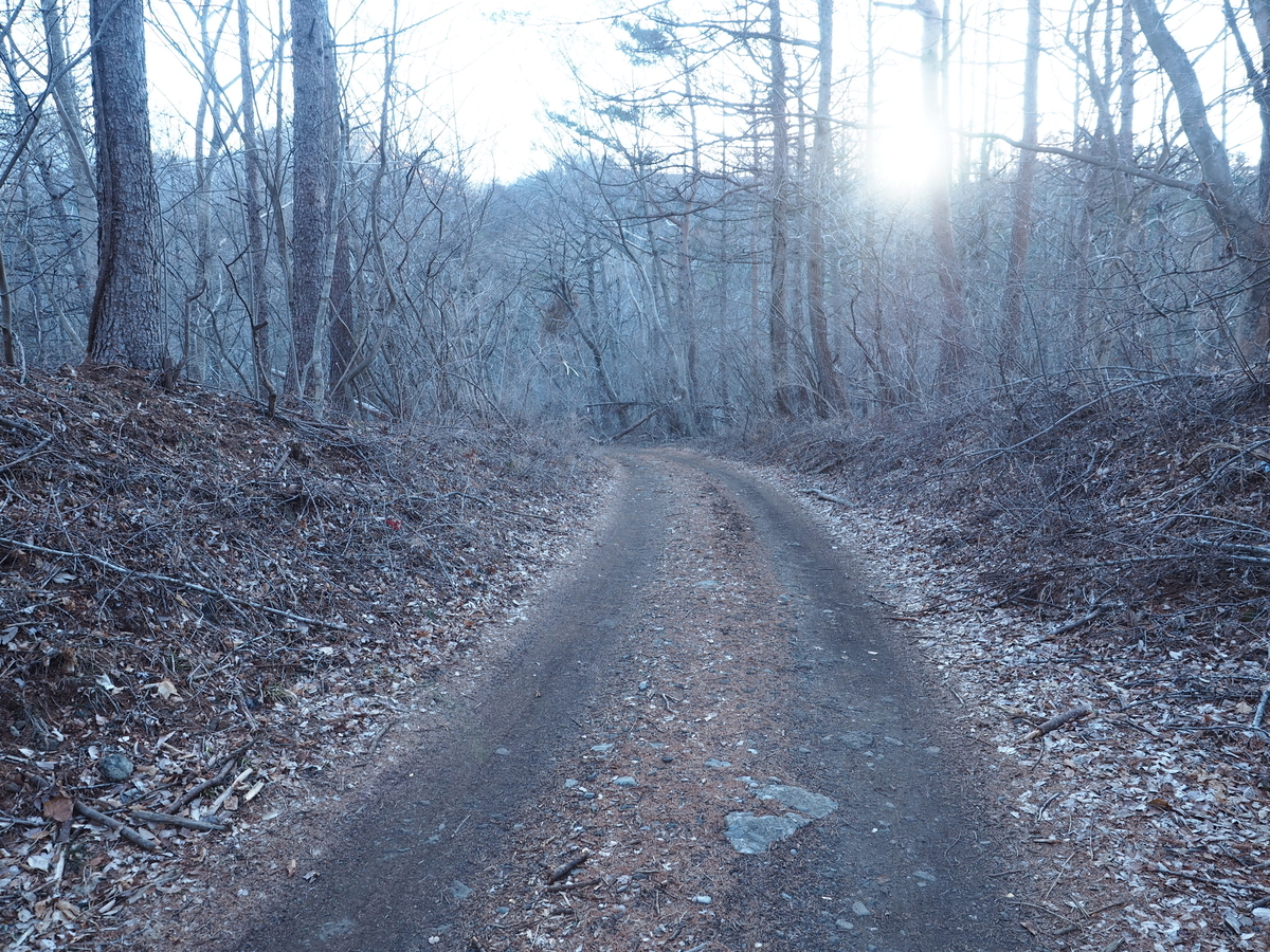 f:id:nobuburi:20190414054352j:plain f:id:nobuburi:20190414054352j:plain
