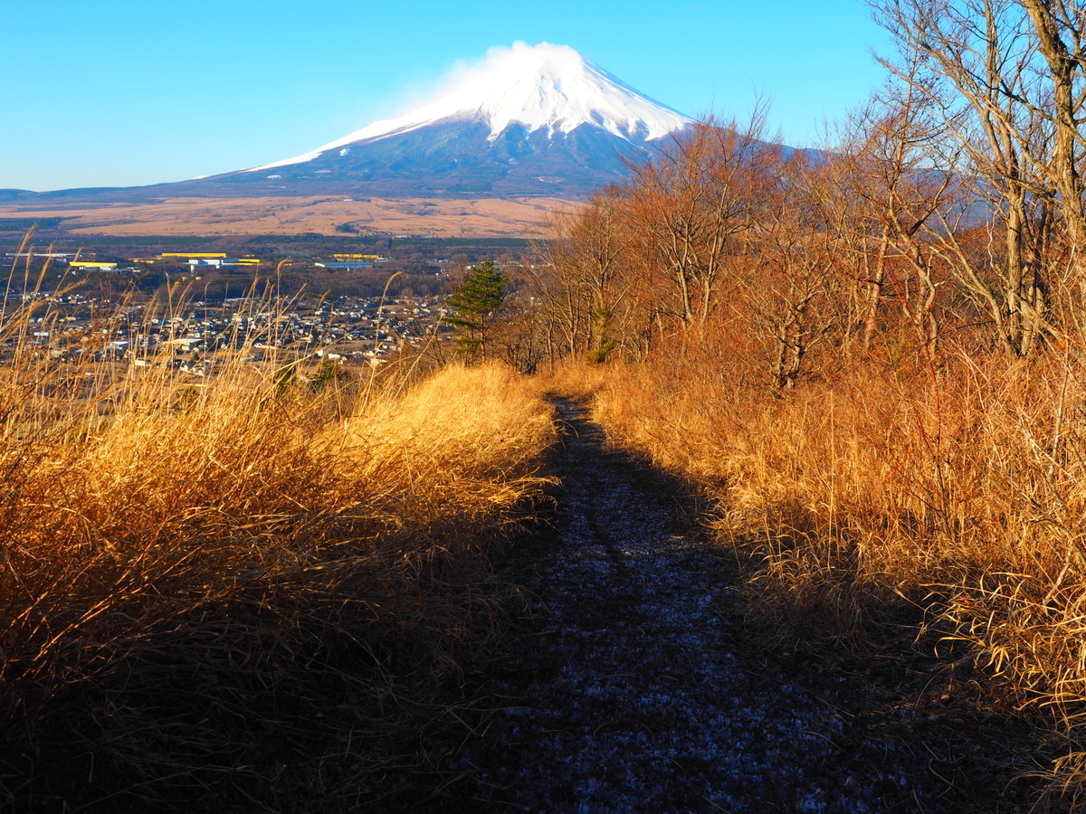 f:id:nobuburi:20190414185743j:plain f:id:nobuburi:20190414185743j:plain