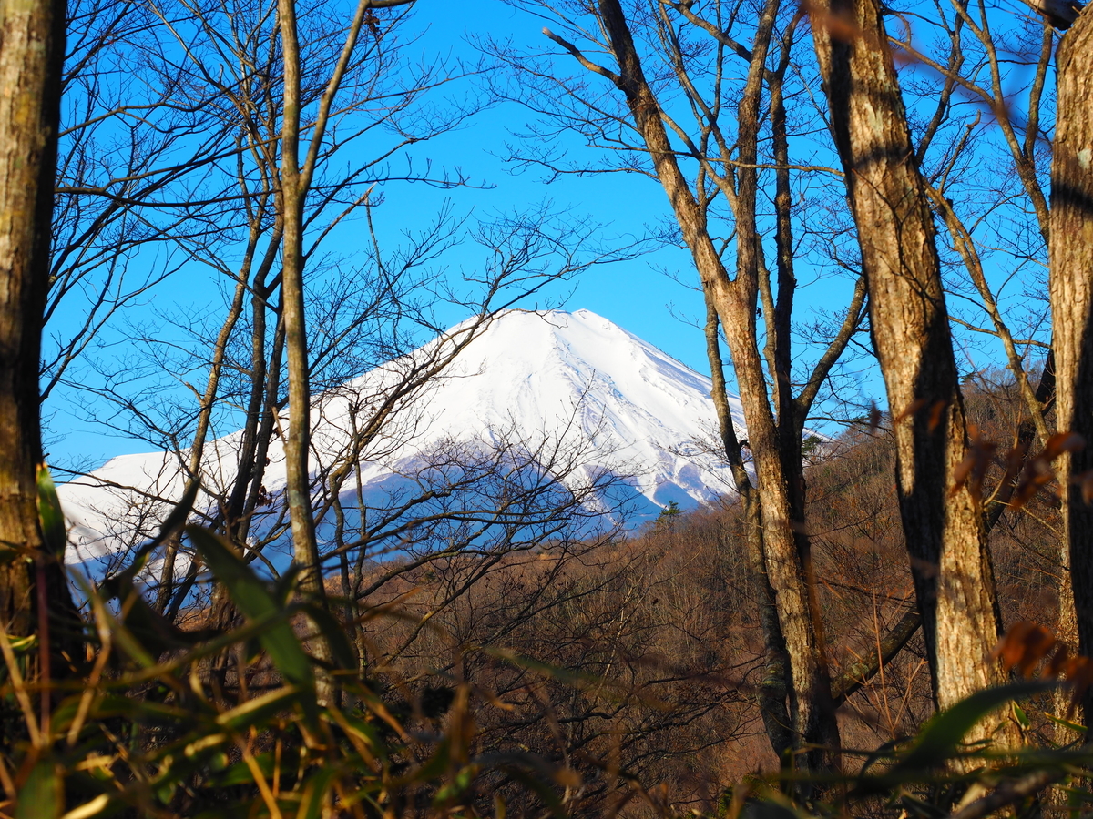 f:id:nobuburi:20190416225932j:plain