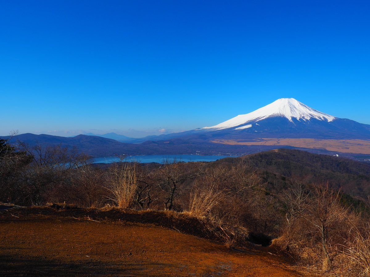 f:id:nobuburi:20190417054756j:plain