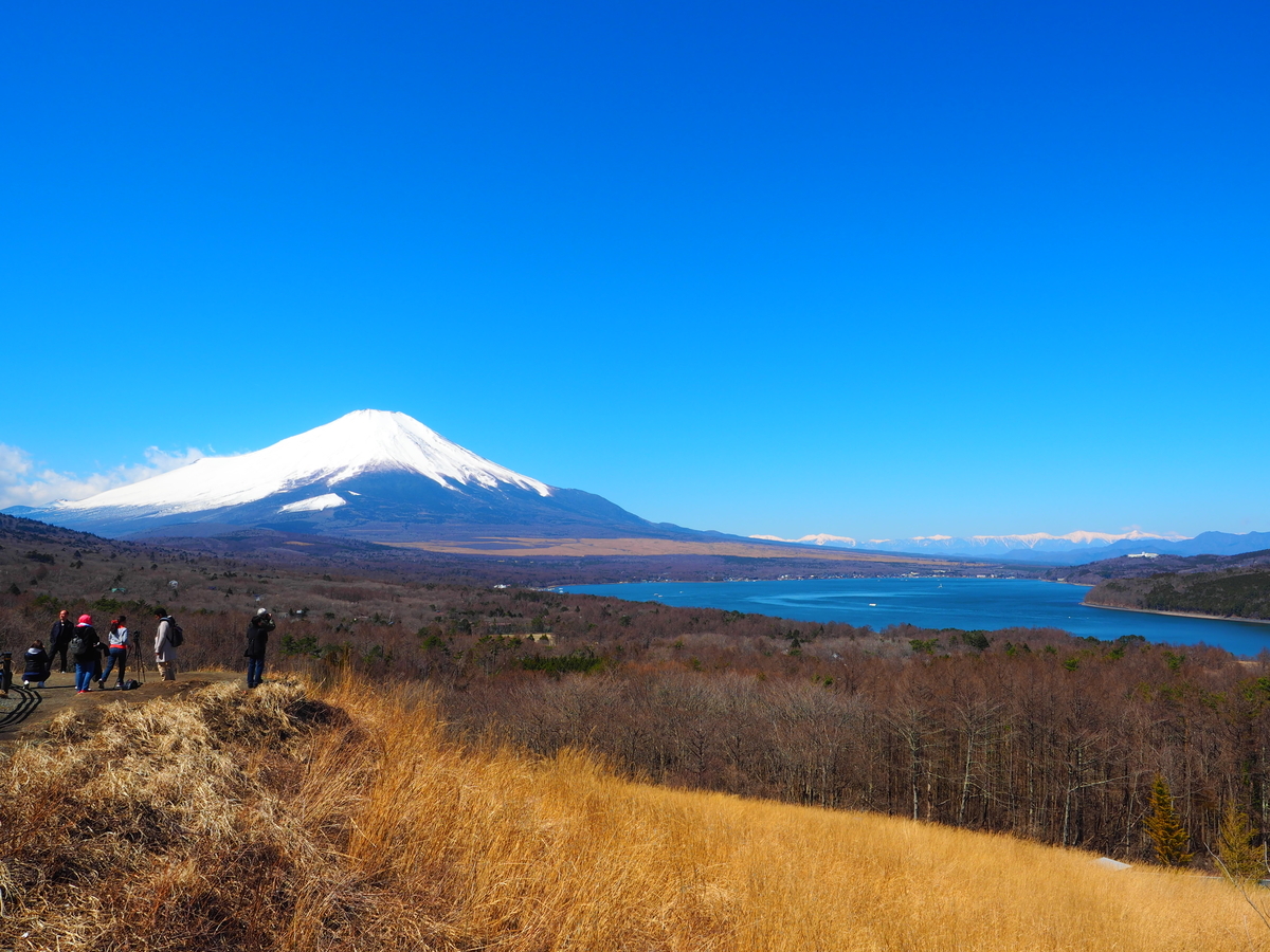 f:id:nobuburi:20190420193534j:plain