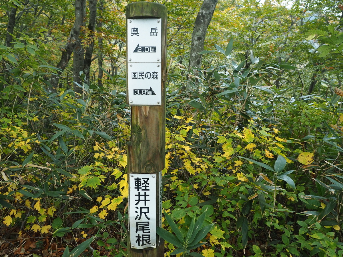 f:id:nobuburi:20200429182838j:plain