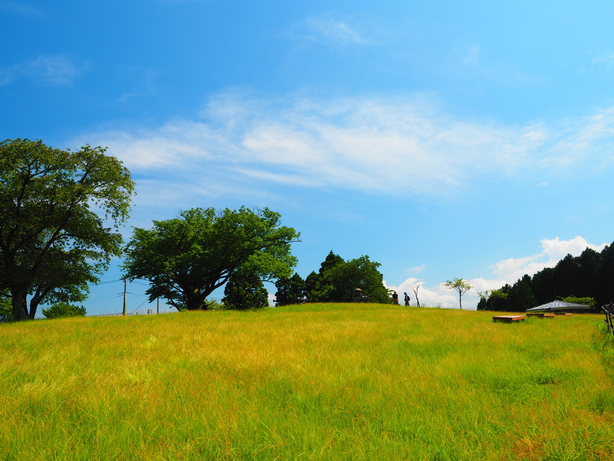 f:id:nobuburi:20200903183657j:plain