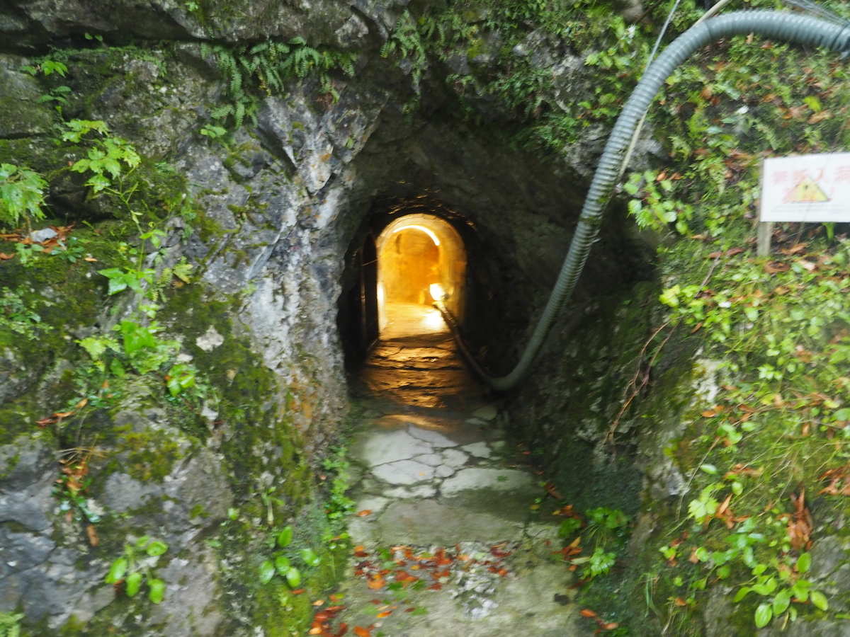 f:id:nobuburi:20201203130011j:plain