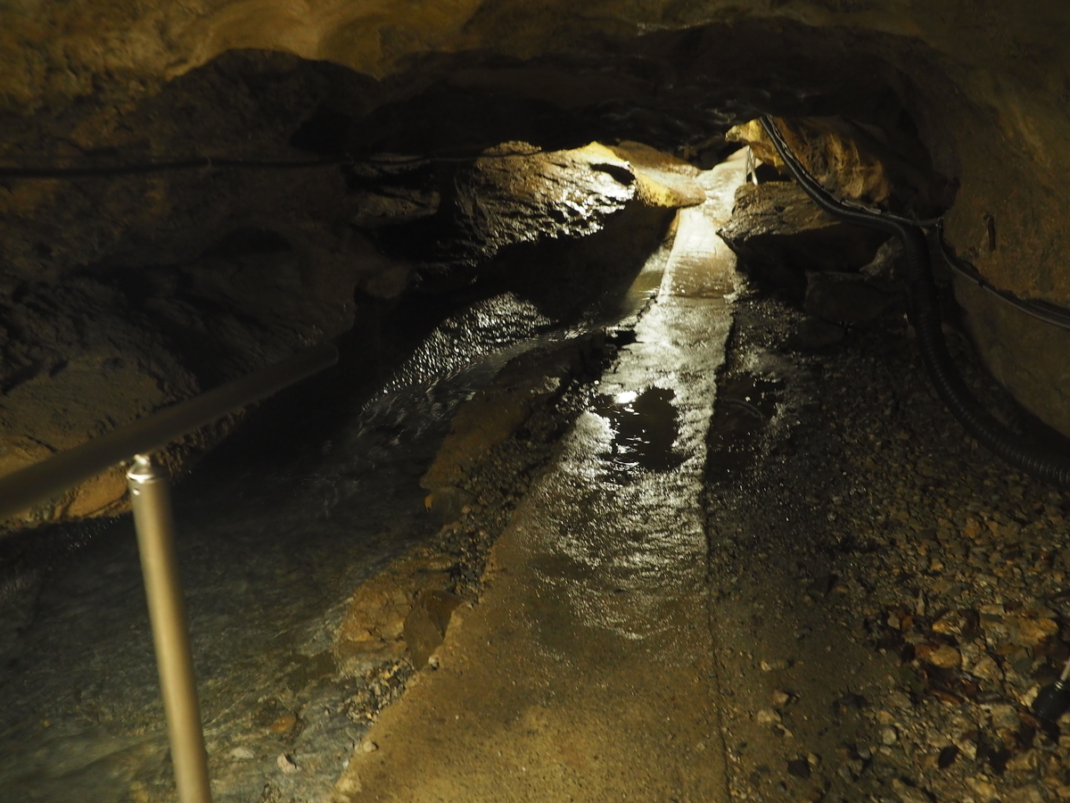 f:id:nobuburi:20201203130419j:plain