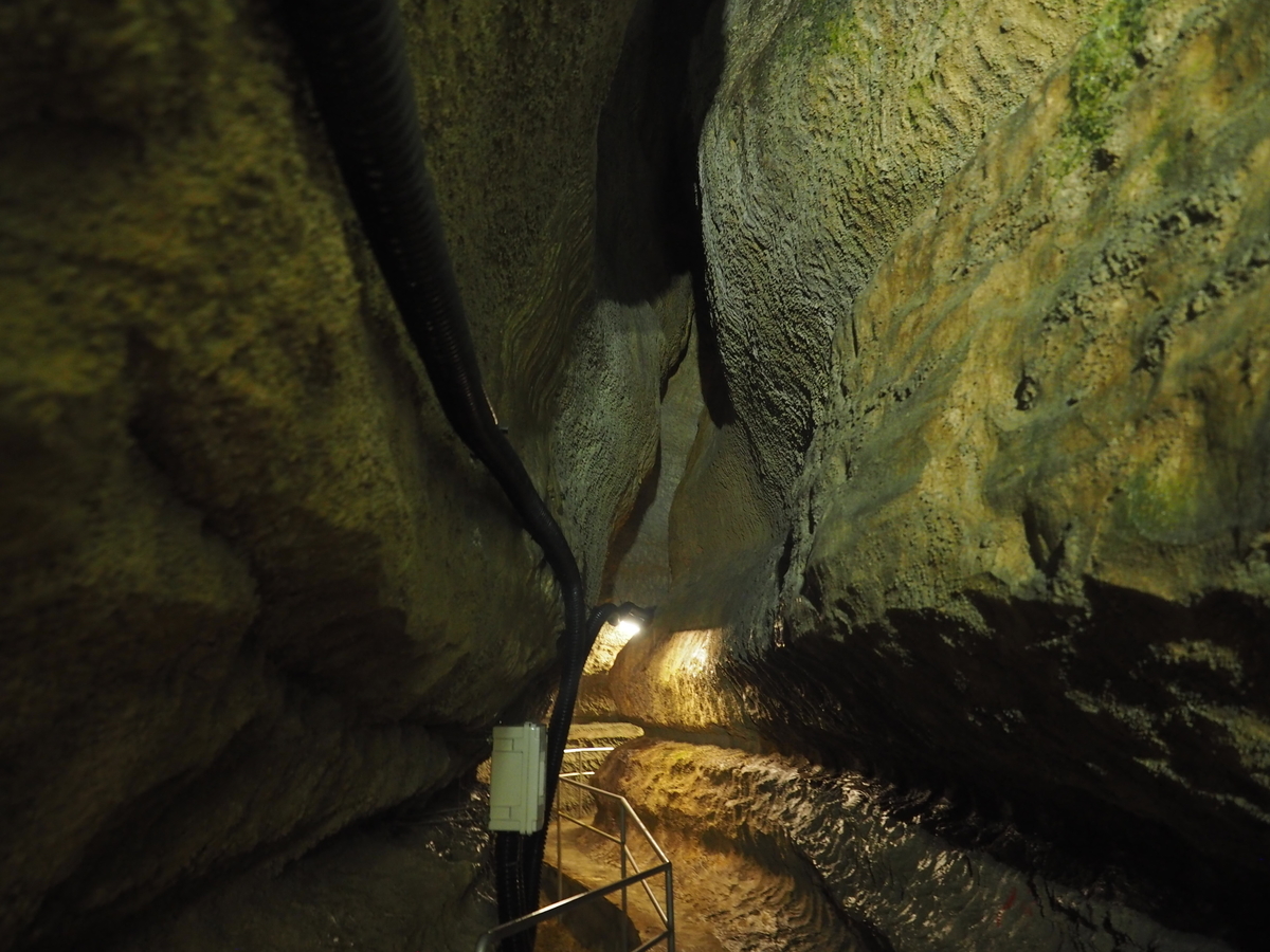 f:id:nobuburi:20201203130950j:plain