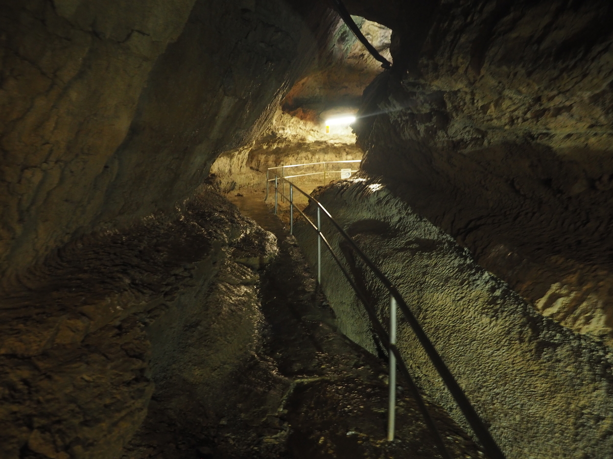 f:id:nobuburi:20201203131327j:plain