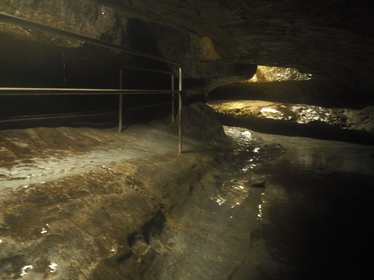 f:id:nobuburi:20201203132017j:plain