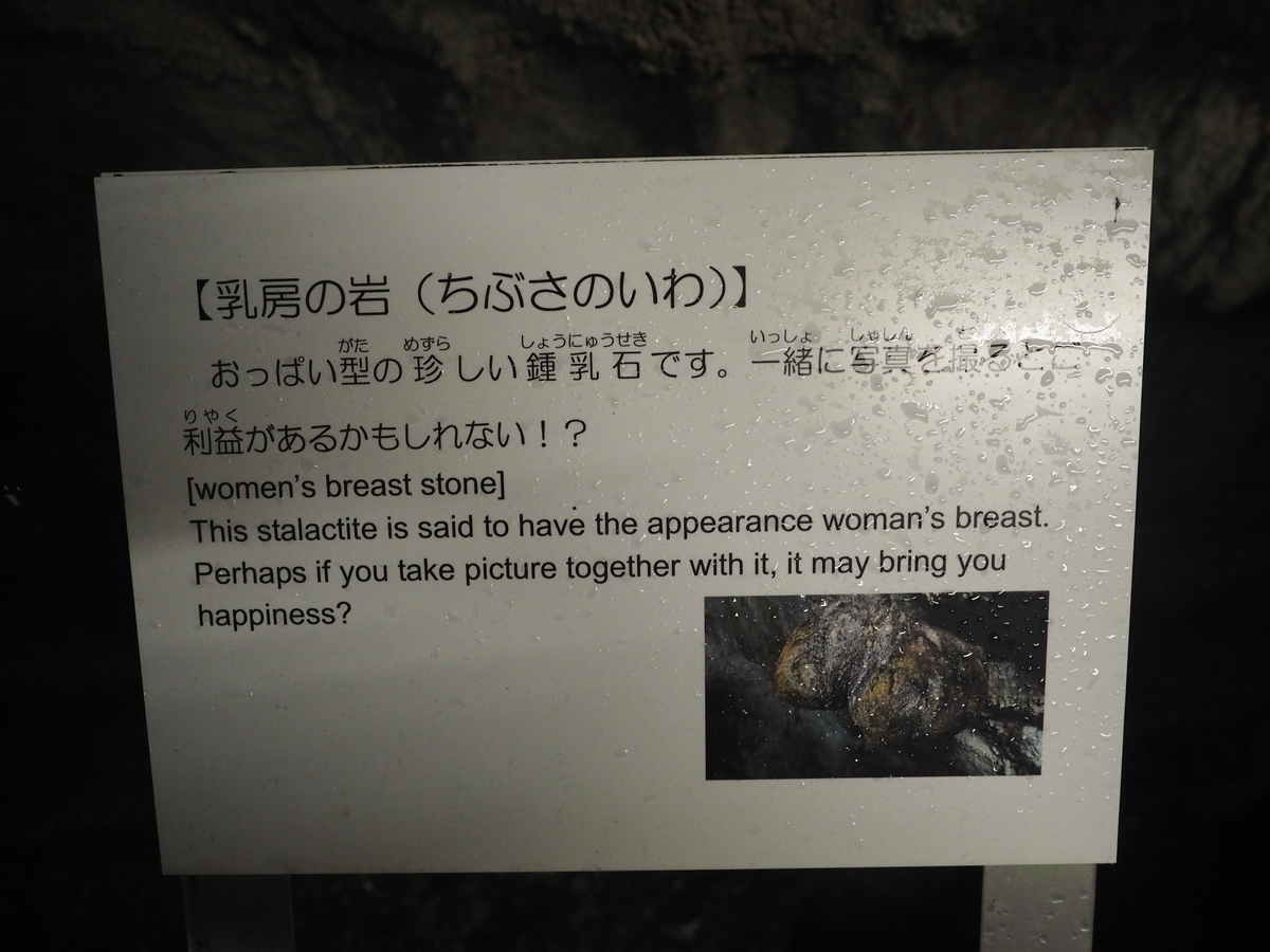 f:id:nobuburi:20201203151629j:plain