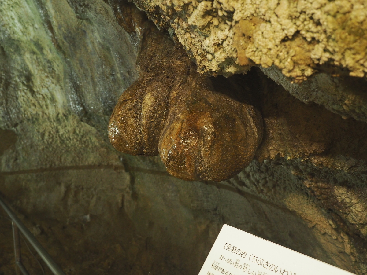 f:id:nobuburi:20201203151931j:plain