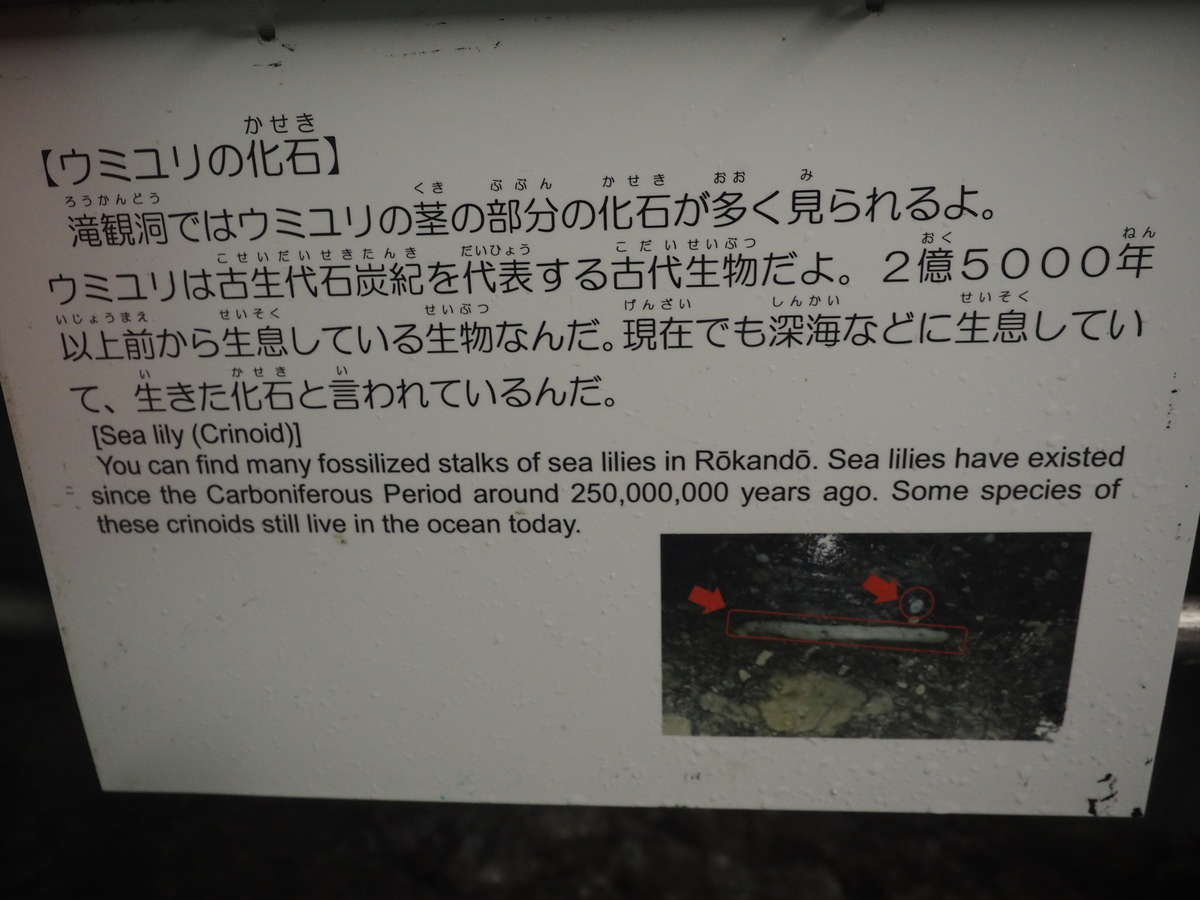 f:id:nobuburi:20201203153410j:plain