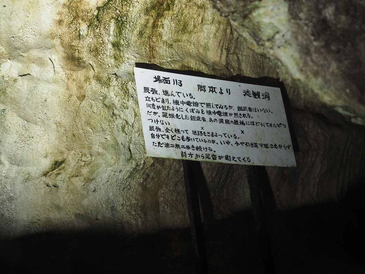 f:id:nobuburi:20201203154209j:plain