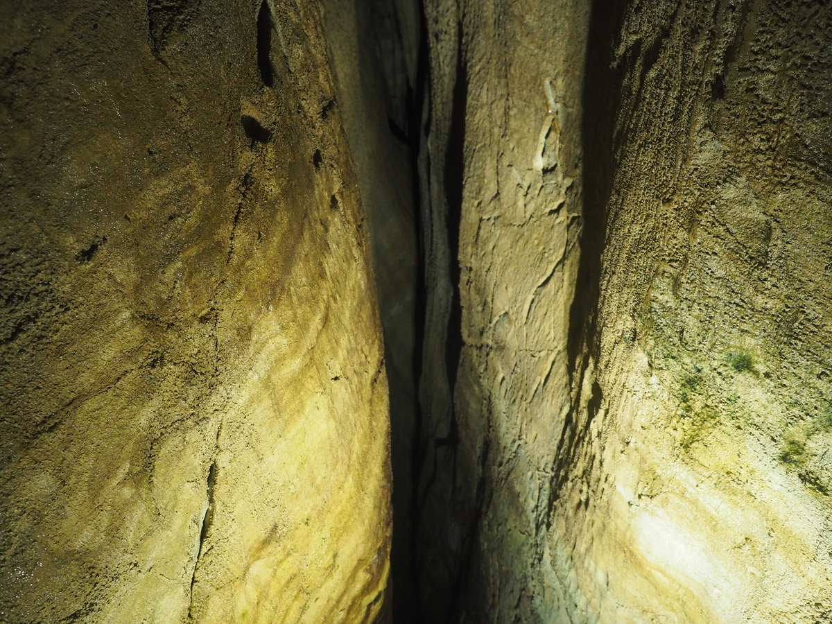 f:id:nobuburi:20201203154422j:plain