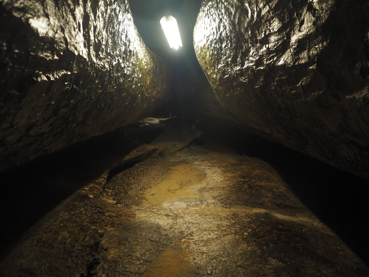 f:id:nobuburi:20201203155100j:plain