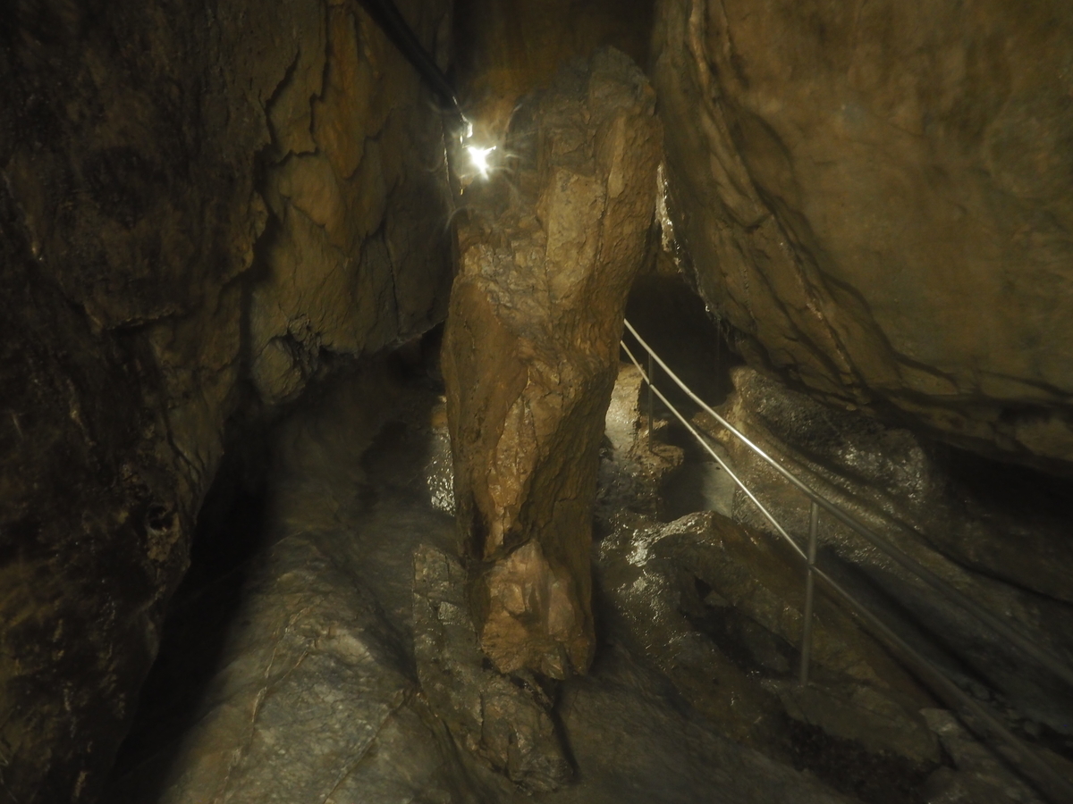 f:id:nobuburi:20201203155346j:plain