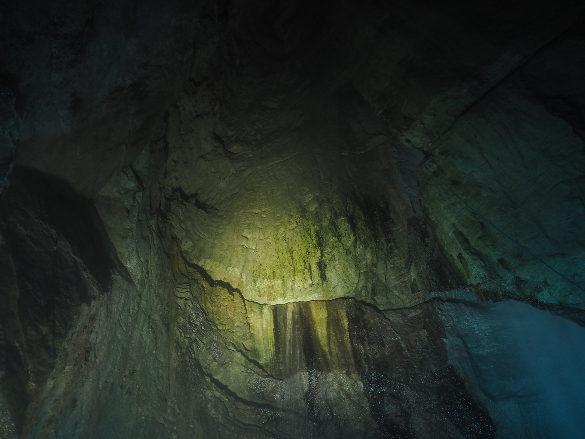 f:id:nobuburi:20201203173016j:plain