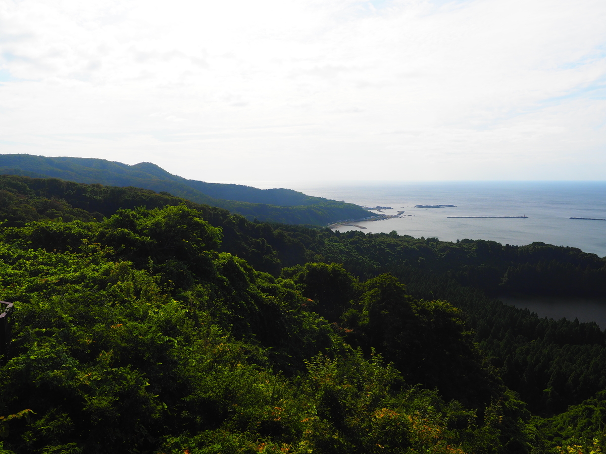 f:id:nobuburi:20201227230632j:plain