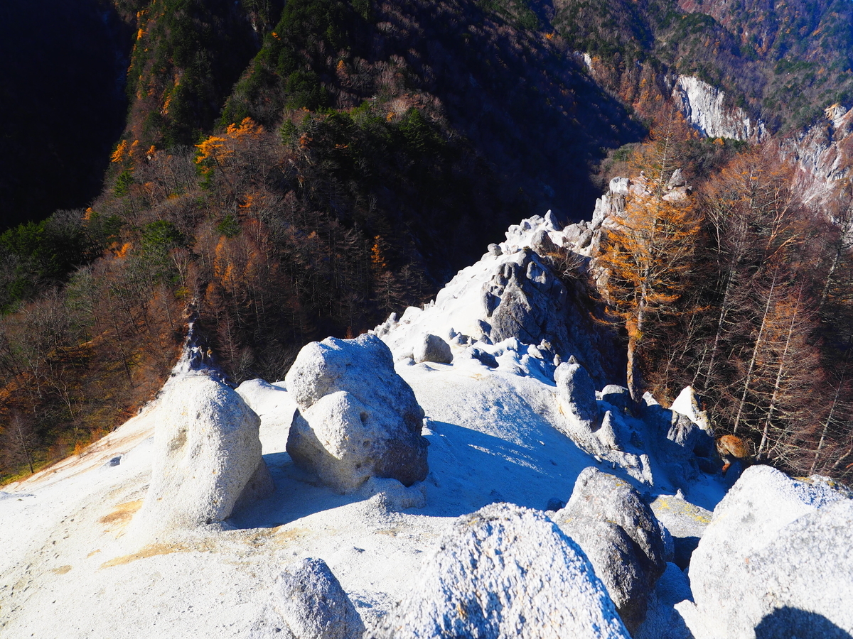 f:id:nobuburi:20220321053618j:plain