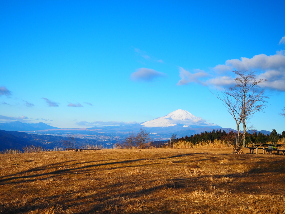 高松山登山｜丹沢の穴場！尺里峠経由で登る山頂の絶景を紹介
