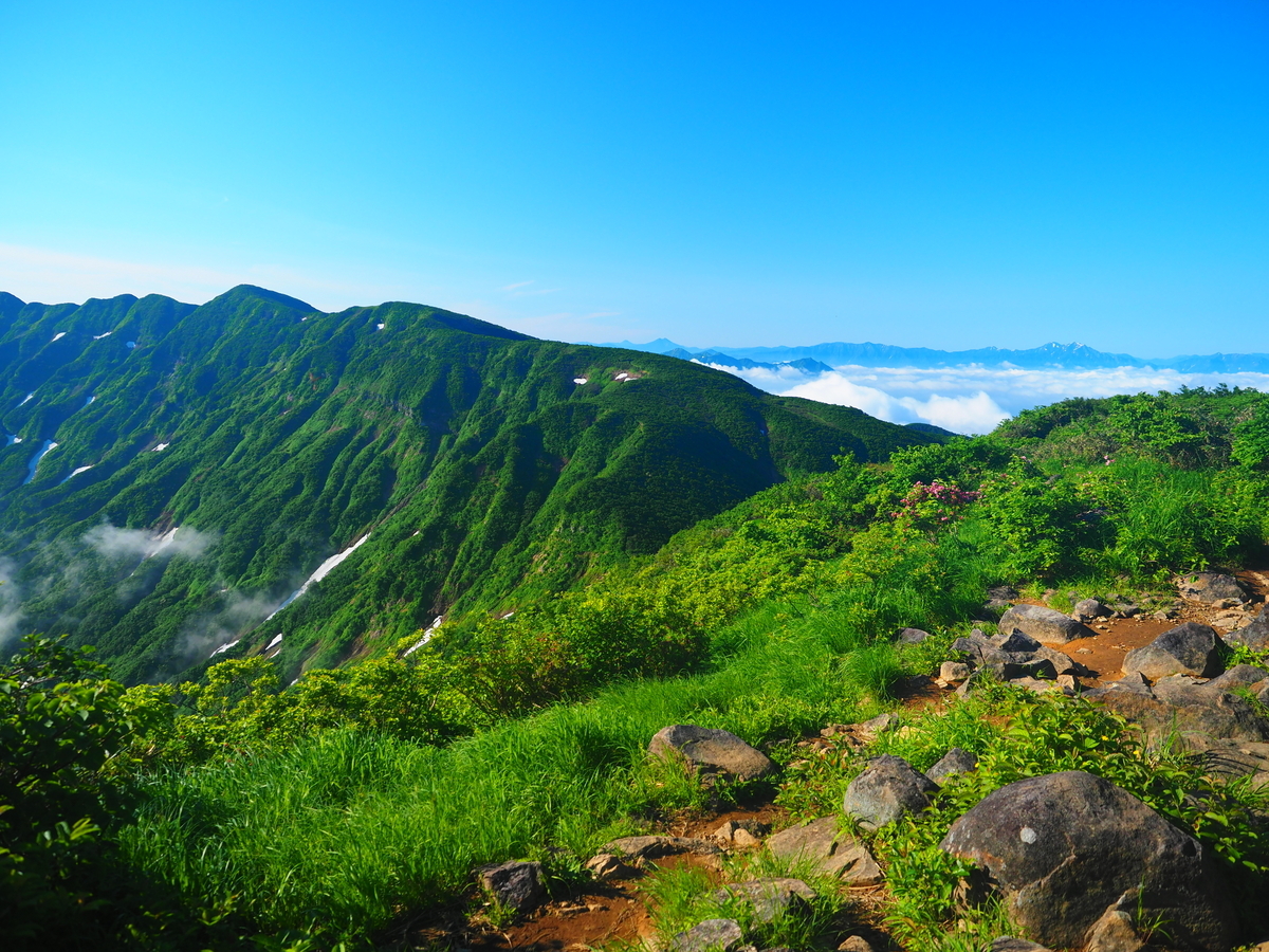 守門岳登山｜保久礼登山口からニッコウキスゲと稜線歩きを楽しんでみた