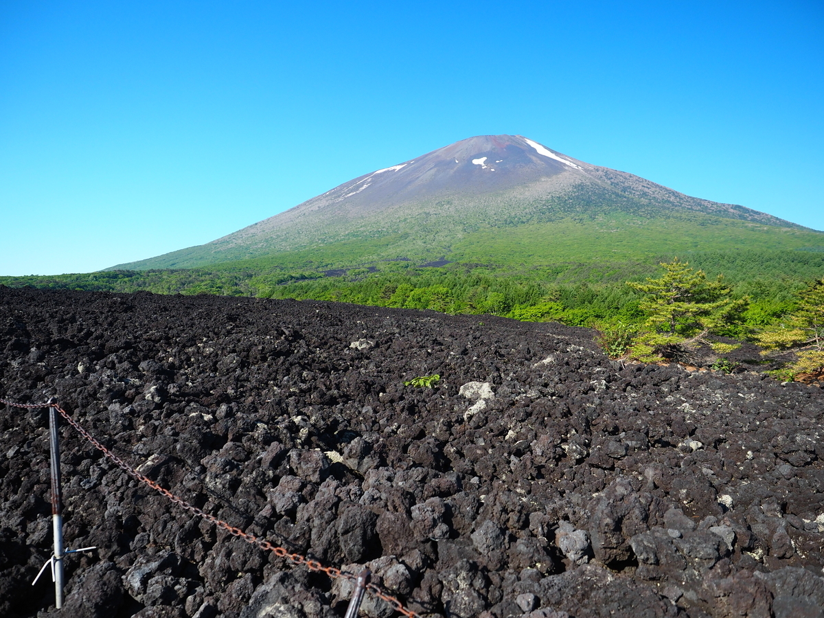 岩手県産山葡萄　樹皮　S級　ラスト１点 岩手山登山｜ジオスポットマニア必見！焼走り登山口から日帰り