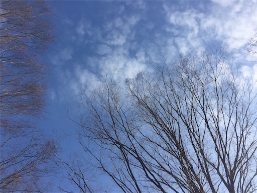 f:id:nobuevery:20200229083910j:image