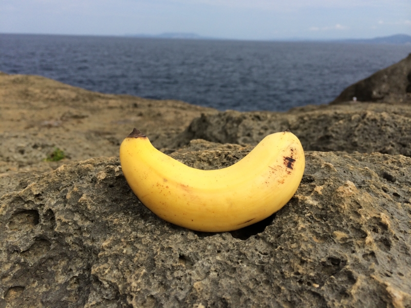 f:id:nobujirou:20141227224443j:plain