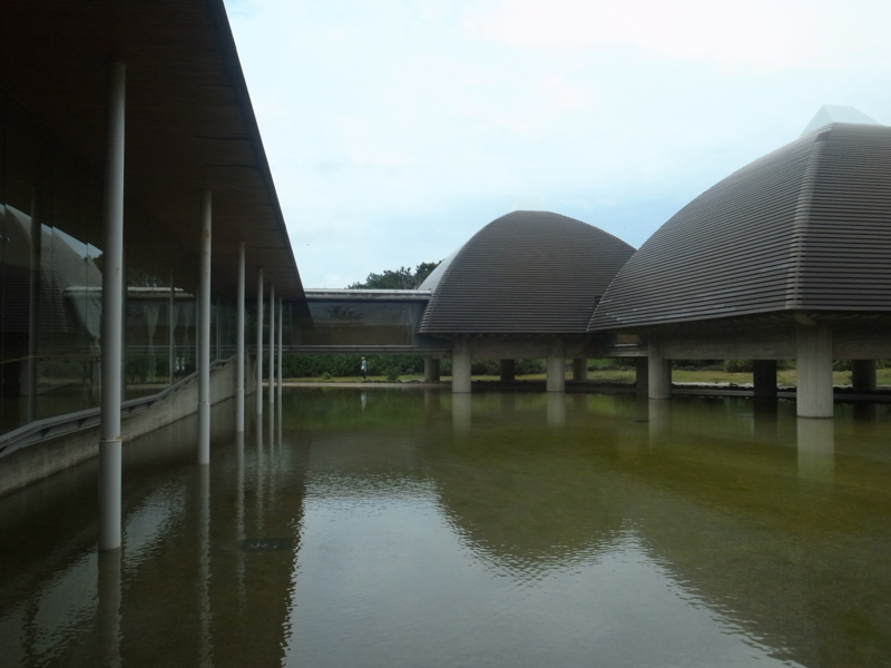 田中一村記念美術館