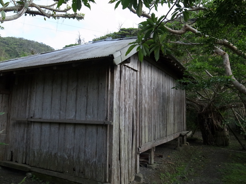 田中一村終焉の家2