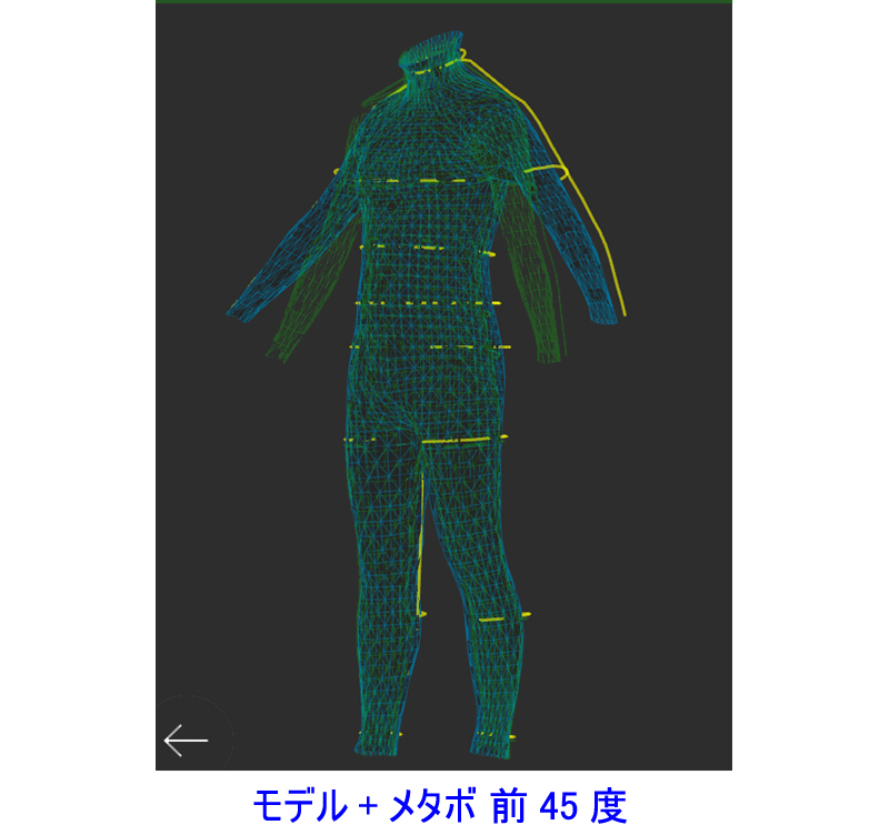 ZOZOスーツダイエット理想体型との比較2