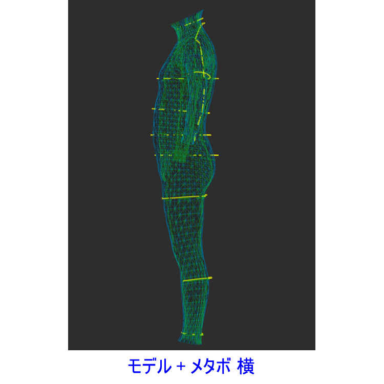 ZOZOスーツダイエット理想体型との比較3