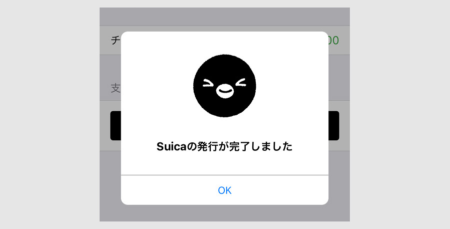 ステップ３：モバイルSuicaの発行13