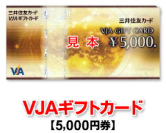 VJAギフトカードで現金化