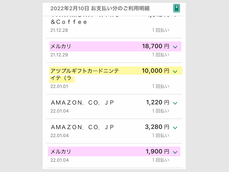 三井住友カードゴールドNL 100万円修行レポート 2月 明細