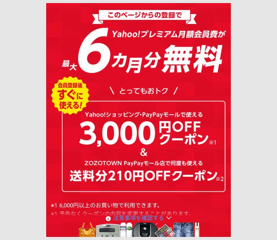 ②最大6ヶ月無料+3000円分のクーポンのオファー(超PayPay祭向き)3