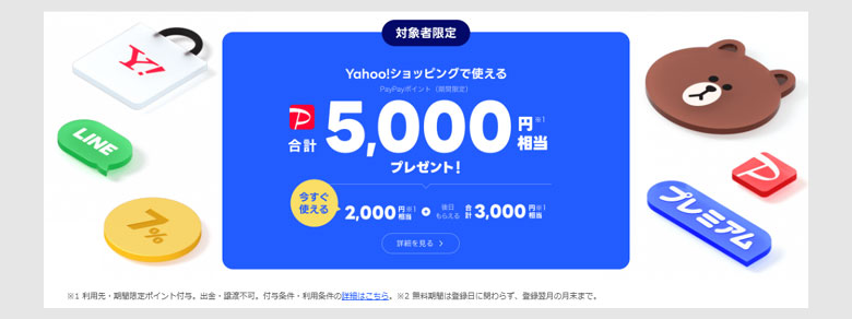 ステップ1:キャンペーンの概要