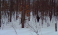 20110305104412
