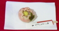 f:id:nobuko945:20110507105611j:image:medium:left