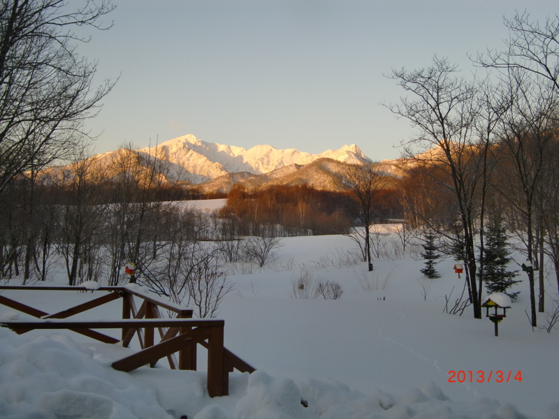f:id:nobuko945:20130304065934j:image:w360