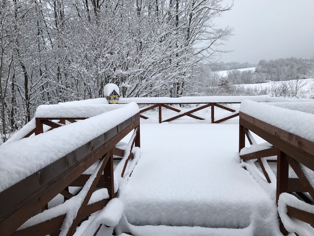 f:id:nobuko945:20201201091108j:plain