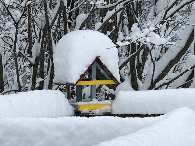 f:id:nobuko945:20201201091216j:plain