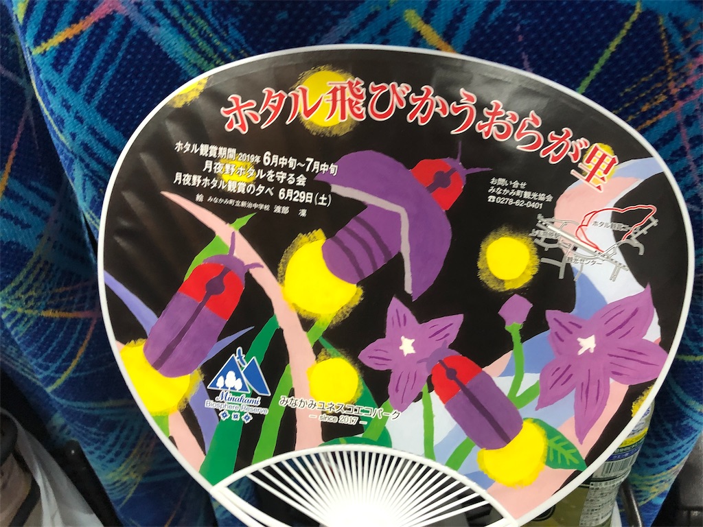 f:id:nobukojapan:20190623185024j:image