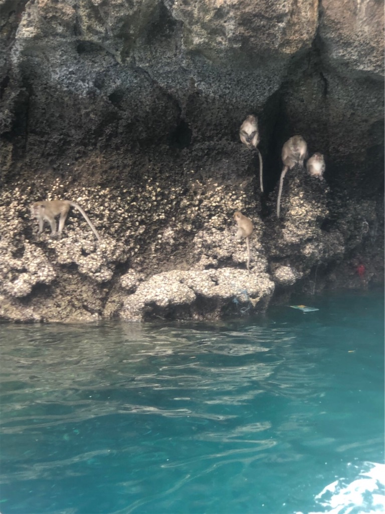 f:id:nobukojapan:20191001221131j:image