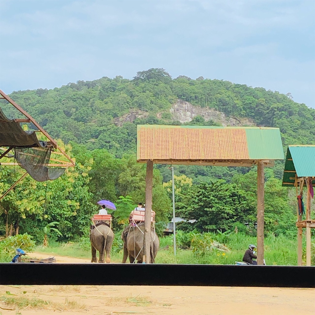 f:id:nobukojapan:20191001221834j:image