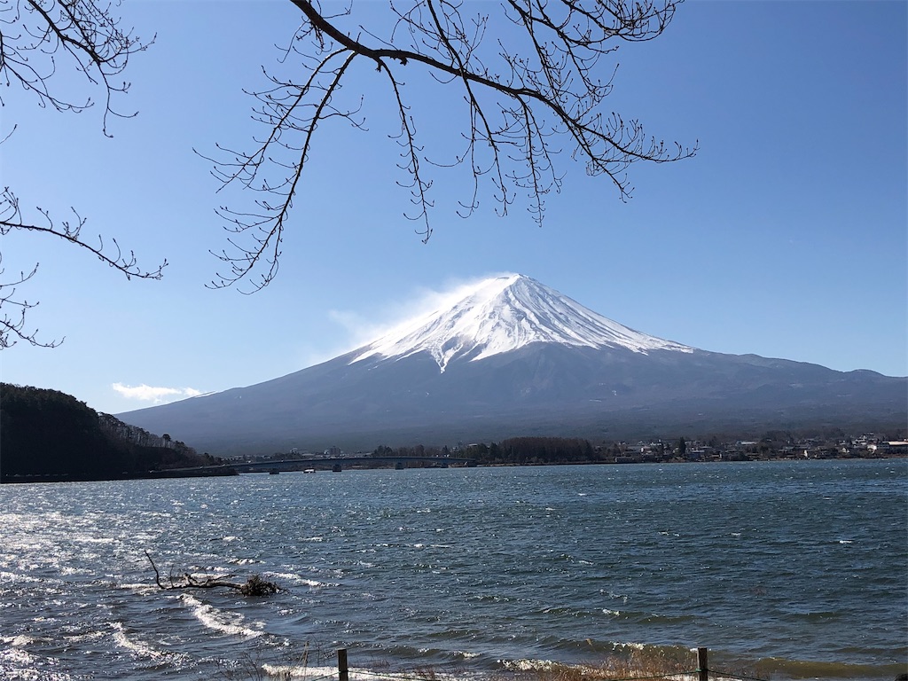 f:id:nobukojapan:20200224220144j:image