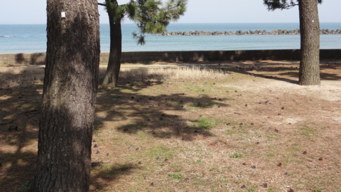 f:id:nobumichi02:20130309125005j:image:h150 f:id:nobumichi02:20130309125005j:image:h150