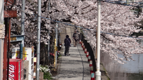 f:id:nobumichi02:20130330102658j:image:h150 f:id:nobumichi02:20130330102658j:image:h150